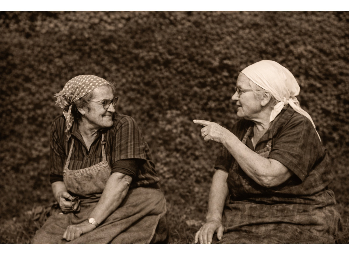 2025 en quelques points